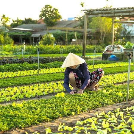 Апартаменты Hoi An Cabbage Garden Экстерьер фото