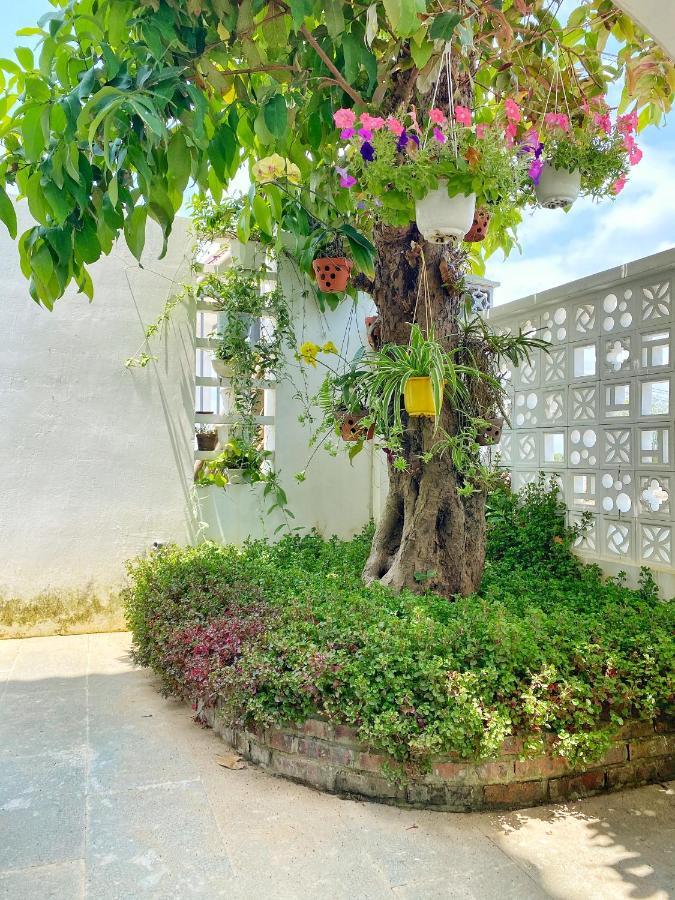 Апартаменты Hoi An Cabbage Garden Экстерьер фото